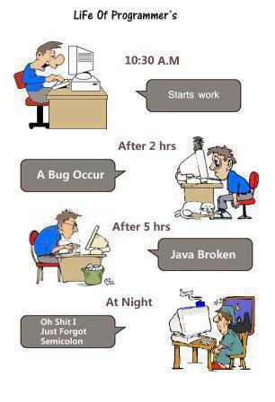A Day in the Life Of A Software Programmer